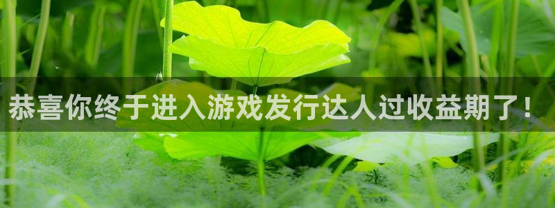 pp电子服装：恭喜你终于进入游戏发行达人过收益期了！