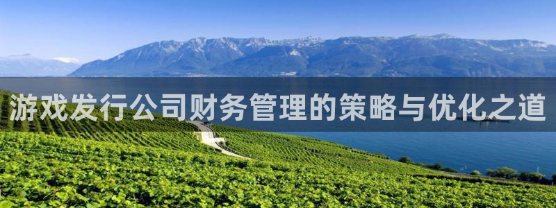 pp电子官网的钱能提出来吗：游戏发行公司财务管理的策略与优化之道