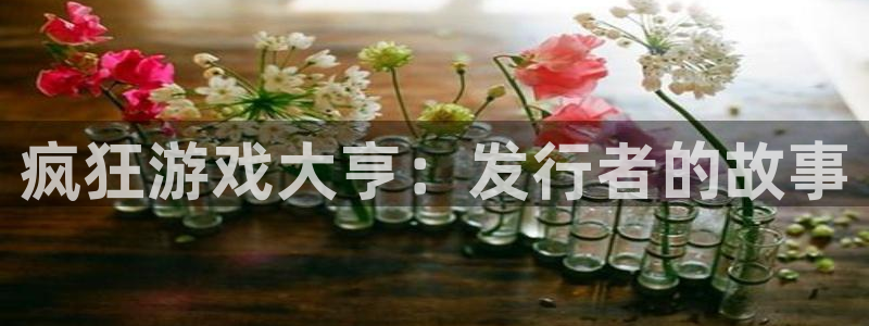 pp电子校服：疯狂游戏大亨：发行者的故事