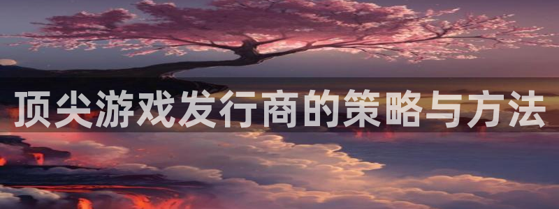 pp电子涂料(北京)有限公司：顶尖游戏发行商的策略与方法