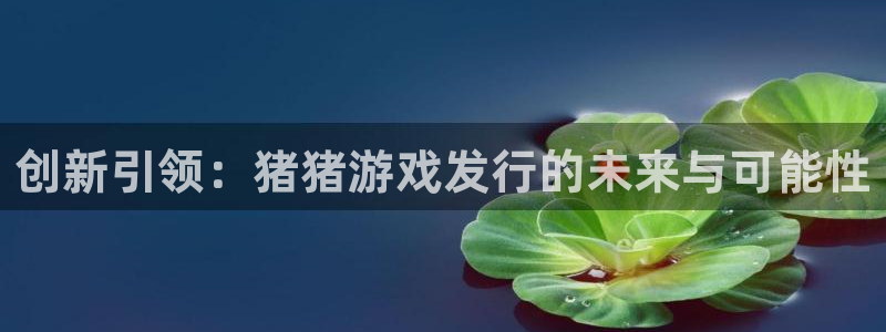 pp电子庄园