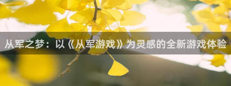 pp电子官网注册方法有哪些呢：从军之梦：以《从军游戏》为灵感的全新游戏体验