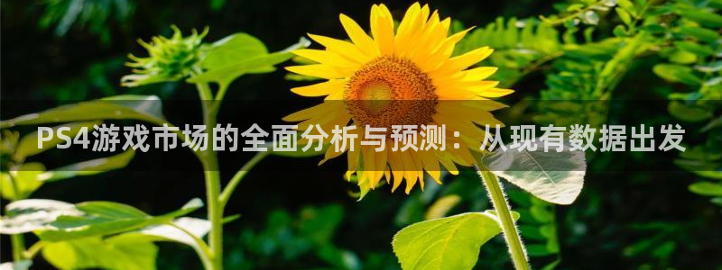 pp电子官网代理开号平台：PS4游戏市场的全面分析与预测：从现有数据出发