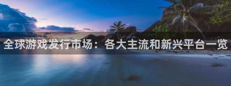 pp电子子经理人杂志：全球游戏发行市场：各大主流和新兴平台一览