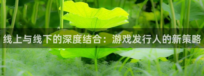 pp电子官网平台代理条件如何：线上与线下的深度结合：游戏发行人的新策略