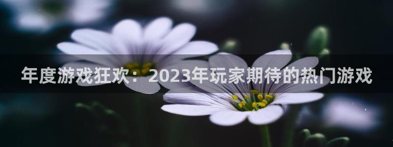 pp电子子教育科技(江门)有限公司：年度游戏狂欢：2023年玩家期待的热门游戏