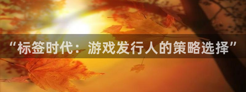 pp电子官网注册地址在哪里：“标签时代：游戏发行人的策略选择”