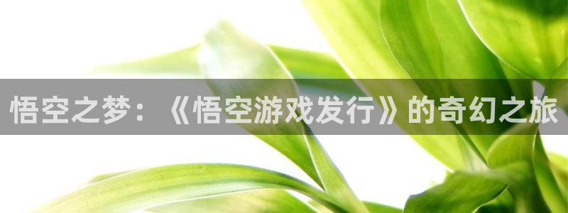 pp电子官网登录注册账号是什么：悟空之梦：《悟空游戏发行》的奇幻之旅
