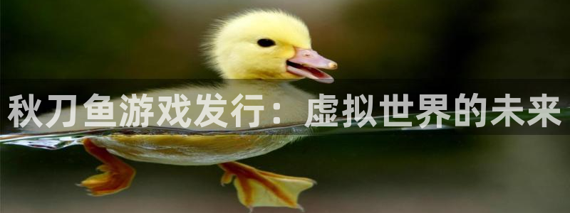 pp电子子文化创意有限公司
