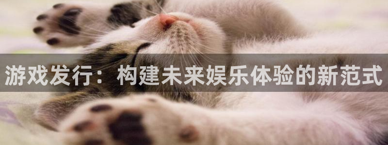 pp电子子文化是干嘛的