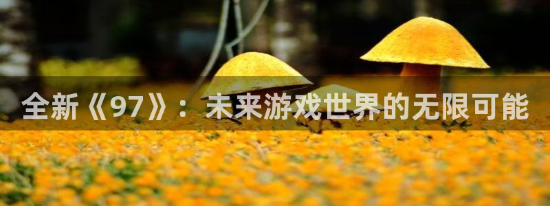 pp电子仓储中心：全新《97》：未来游戏世界的无限可能