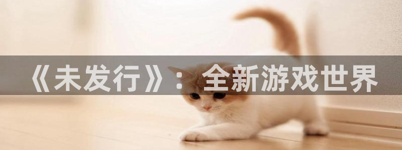 pp电子科技股票