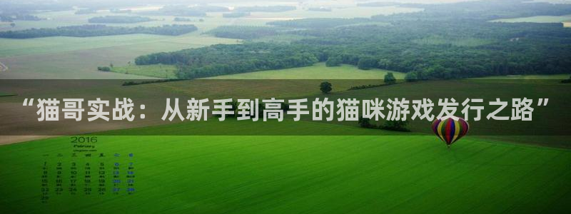 pp电子服装品牌怎么样