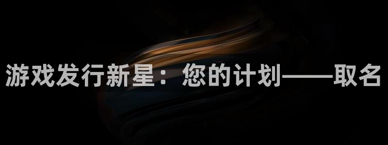 pp电子子股价：游戏发行新星：您的计划——取名