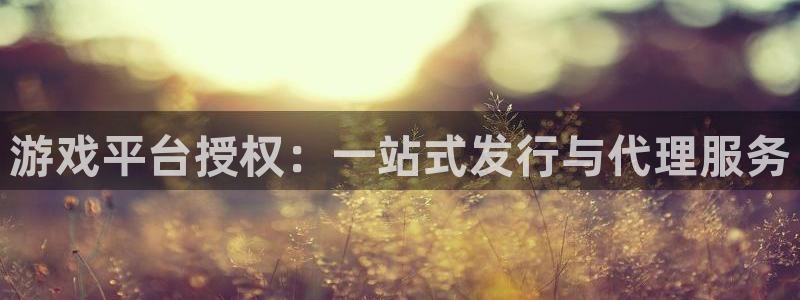 pp电子官网注册方法视频下载：游戏平台授权：一站式发行与代理服务