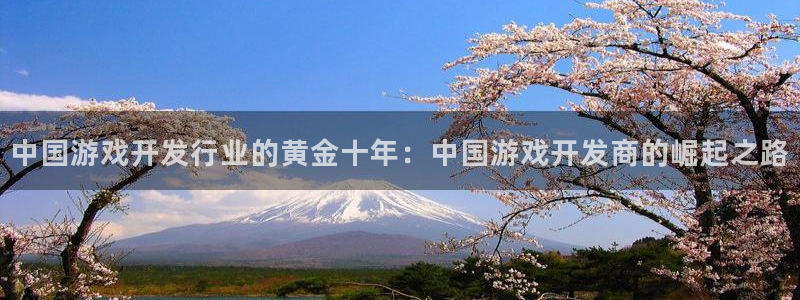 pp电子集团品牌策划机构：中国游戏开发行业的黄金十年：中国游戏开发商的崛起之路